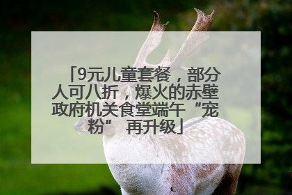 9元儿童套餐，部分人可八折，爆火的赤壁政府机关食堂端午“宠粉” 再升级