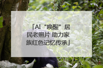 AI“唤醒”居民老照片 助力家族红色记忆传承
