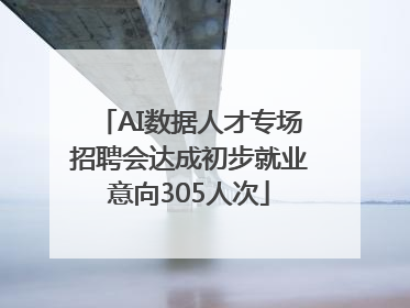 AI数据人才专场招聘会达成初步就业意向305人次