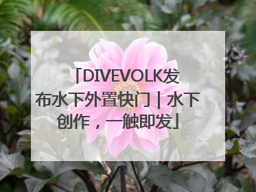 DIVEVOLK发布水下外置快门｜水下创作，一触即发