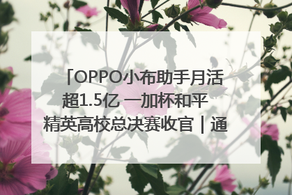 OPPO小布助手月活超1.5亿 一加杯和平精英高校总决赛收官｜通讯Plus·早报