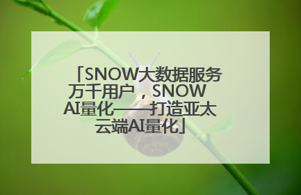 SNOW大数据服务万千用户，SNOW AI量化——打造亚太云端AI量化