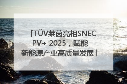 TÜV莱茵亮相SNEC PV+ 2025，赋能新能源产业高质量发展