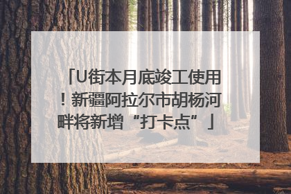 U街本月底竣工使用！新疆阿拉尔市胡杨河畔将新增“打卡点”